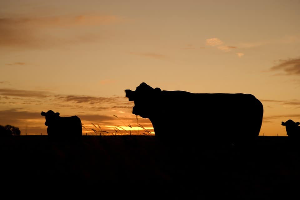 Farm Financing