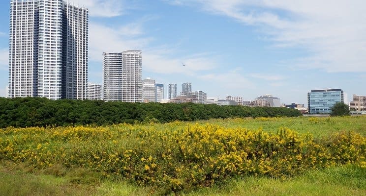 Land Investing