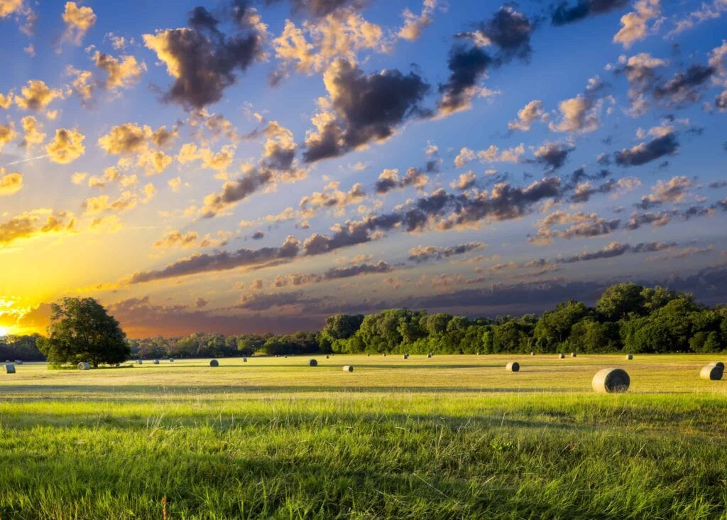 Selling your Farm or Ranch